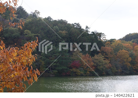 紅葉した木々と池 紅葉した木々と池 140422621