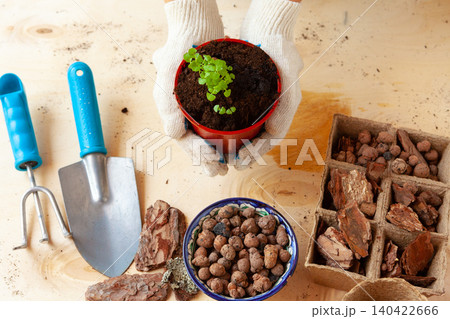 Woman holding a pot with a sprout in her hands. Gardening concept 140422666