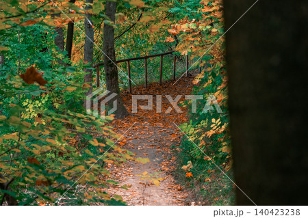 Autumn woodland path covered in fallen leaves with vibrant foliage Autumn woodland path covered in fallen leaves with vibrant foliage 140423238