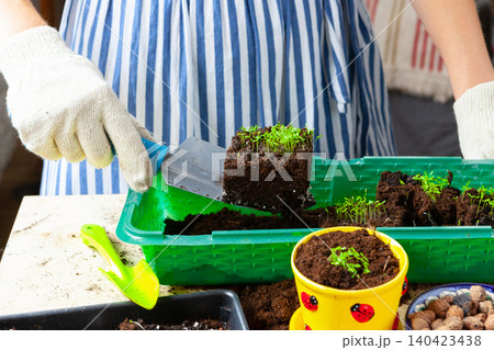 Plant transplantation process close up. Gardening accessories Plant transplantation process close up. Gardening accessories 140423438