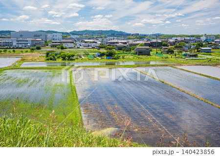 木津川沿いの田園風景 京都府八幡市 木津川沿いの田園風景 京都府八幡市 140423856