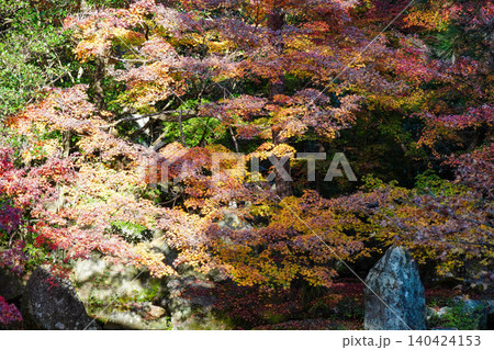 京都洛北上高野の寺院の池のある庭園の秋の風景 京都洛北上高野の寺院の池のある庭園の秋の風景 140424153