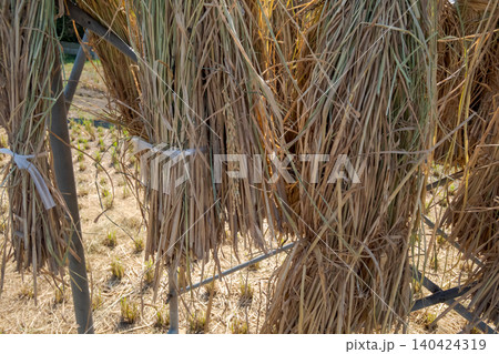 various various 140424319