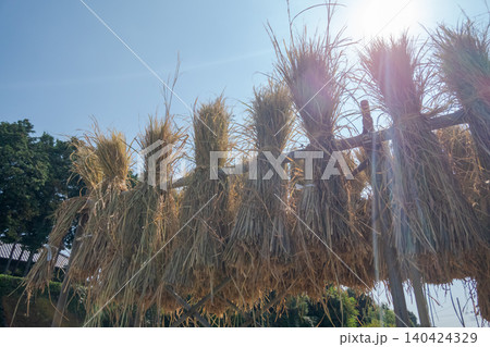 various 140424329