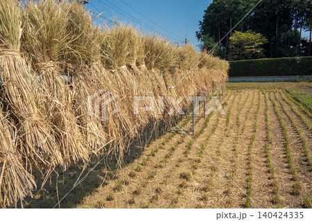 various various 140424335