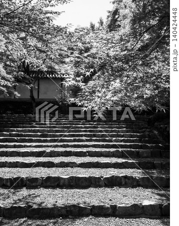 石段と青紅葉と白壁の風景 石段と青紅葉と白壁の風景 140424448