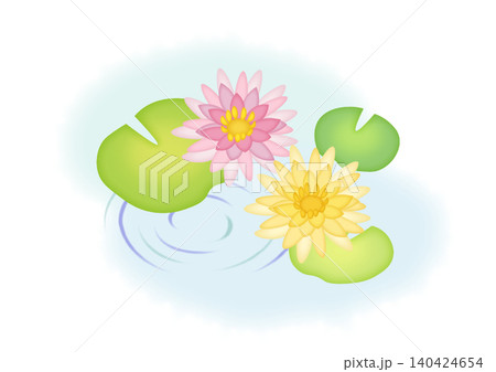 水に浮かぶ睡蓮のイラスト 140424654