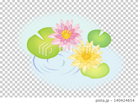 水に浮かぶ睡蓮のイラスト 140424654