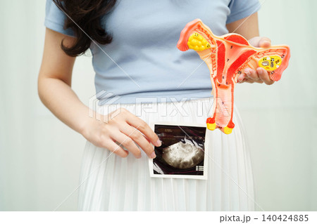 Uterus ultrasound, Asian woman holding human anatomy model. Uterus ultrasound, Asian woman holding human anatomy model. 140424885