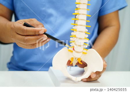 Asian doctor holding spinal nerve and bone model, Lumbar spine displaced herniated disc fragment for treatment medical in the orthopedic department. Asian doctor holding spinal nerve and bone model, Lumbar spine displaced herniated disc fragment for treatment medical in the orthopedic department. 140425035