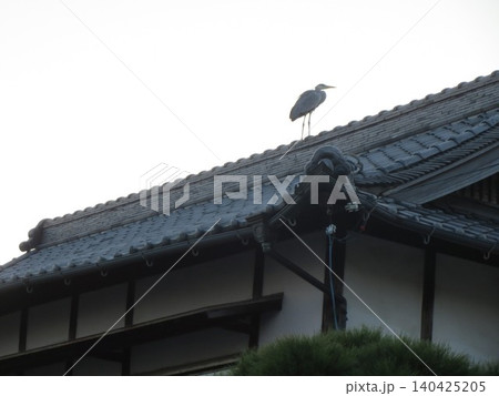 2014年・香川・観音寺・八幡・風景・寺院・興昌寺・其の二十六 2014年・香川・観音寺・八幡・風景・寺院・興昌寺・其の二十六 140425205