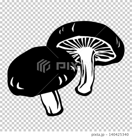 香菇的單色向量插圖 140425340