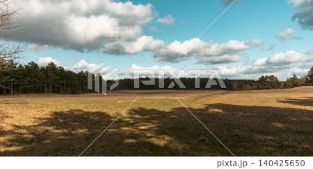 Spring Meadow Panorama Under Cloudy Sky 140425650