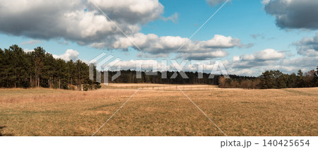 Golden Meadow Beside Pine Forest 140425654