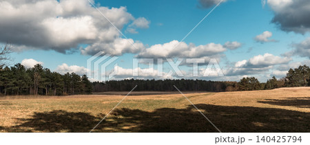 Open Meadow With Clouds and Pine Forest 140425794