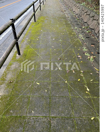 苔のむす田舎道 苔のむす田舎道 140425997