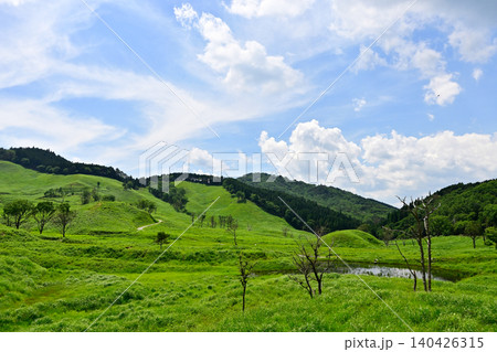 新芽が吹き出した新緑の砥峰高原 新芽が吹き出した新緑の砥峰高原 140426315