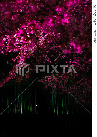 静寂に咲く夜桜 静寂に咲く夜桜 140426346