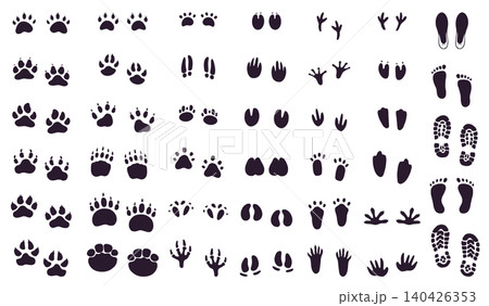 Big set of animal and human footprints silhouettes on white background 140426353