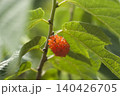 こうぞ 140426705