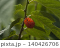 こうぞ 140426706