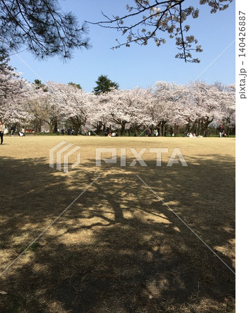 高岡古城公園の春 高岡古城公園の春 140426887