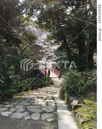 高岡古城公園の散歩道 140426888