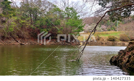 曇り空の下に広がる春の静かな湖畔 曇り空の下に広がる春の静かな湖畔 140427335