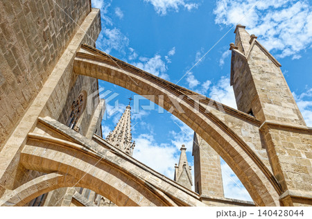 Cathedral - Basilica de Santa Maria de Mallorca - Spain 140428044