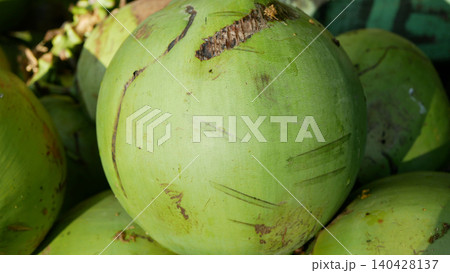 Green circle coconut tree detail Cocos nucifera cocoanut nut fresh piled young green palm sweet white flesh tropical climates food and water quench their thirst drinking farmer farm field agriculture 140428137