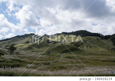 兵庫県神河町 砥峰高原に広がるススキ草原と丘陵風景 140428214