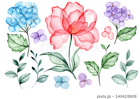 Watercolor illustration of a set of peony and hydrangea flowers. Transparent flowers x-ray. Watercolor illustration of a set of peony and hydrangea flowers. Transparent flowers x-ray. 140428609