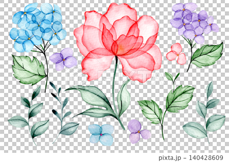 Watercolor illustration of a set of peony and hydrangea flowers. Transparent flowers x-ray. Watercolor illustration of a set of peony and hydrangea flowers. Transparent flowers x-ray. 140428609