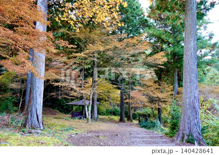 高源寺の境内　丹波紅葉三山のひとつ　天目楓(てんもくかえで)が美しい風景　兵庫県丹波市 140428641
