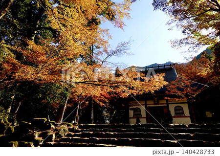 高源寺の仏殿 丹波紅葉三山のひとつ 天目楓(てんもくかえで)が美しい風景 兵庫県丹波市 高源寺の仏殿 丹波紅葉三山のひとつ 天目楓(てんもくかえで)が美しい風景 兵庫県丹波市 140428733