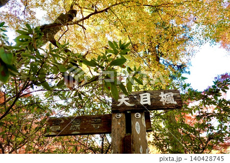 高源寺の境内 丹波紅葉三山のひとつ 天目楓(てんもくかえで)が美しい風景 兵庫県丹波市 高源寺の境内 丹波紅葉三山のひとつ 天目楓(てんもくかえで)が美しい風景 兵庫県丹波市 140428745