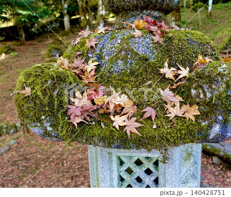 高源寺の石灯籠紅に降り積もった紅葉 天目楓(てんもくかえで)が美しい風景 兵庫県丹波市 高源寺の石灯籠紅に降り積もった紅葉 天目楓(てんもくかえで)が美しい風景 兵庫県丹波市 140428751