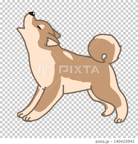 一幅胖胖的柴犬嚎叫的插圖 一幅胖胖的柴犬嚎叫的插圖 140428942