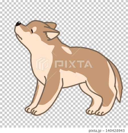 一隻受驚的胖柴犬的插圖 一隻受驚的胖柴犬的插圖 140428943