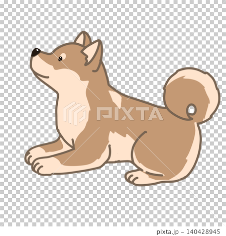 一隻胖胖的柴犬躺著的插圖 一隻胖胖的柴犬躺著的插圖 140428945