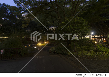 彼我庭園の夜 彼我庭園の夜 140429661