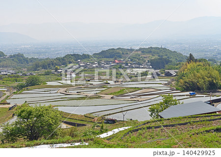 平岡の棚田　水をたたえた美しい水田地帯と遠方に広がる甲府盆地 140429925