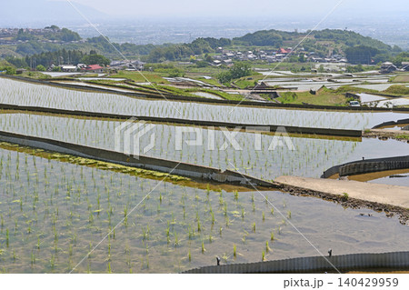 平岡の棚田　段々に重なる美しい水面と奥に広がるのどかな集落 140429959