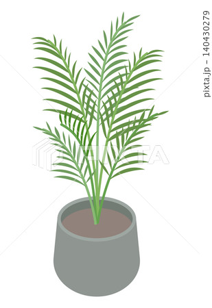 アイソメトリックイラスト:観葉植物(アレカヤシ) アイソメトリックイラスト:観葉植物(アレカヤシ) 140430279