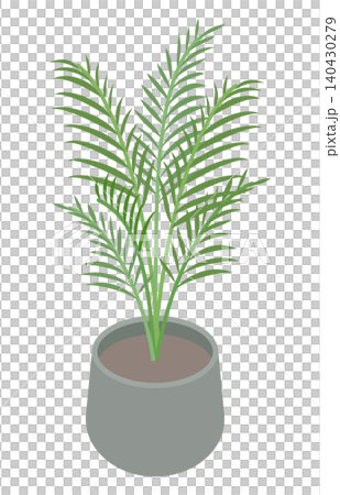 Isometric illustration: Houseplant (Areca palm) Isometric illustration: Houseplant (Areca palm) 140430279