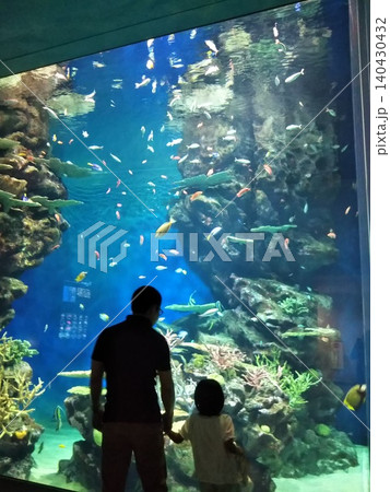 水族館で大きな水槽を見上げる親子の後ろ姿 水族館で大きな水槽を見上げる親子の後ろ姿 140430432