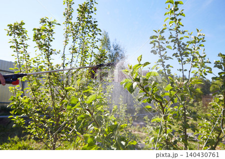 Spraying the branches of a fruit tree under bright sunlight, aimed at protecting plants from pests and diseases 140430761