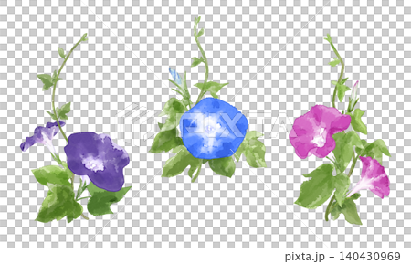 夏を彩るアサガオの花 透明感のある手描き水彩タッチのイラストセット 夏を彩るアサガオの花 透明感のある手描き水彩タッチのイラストセット 140430969