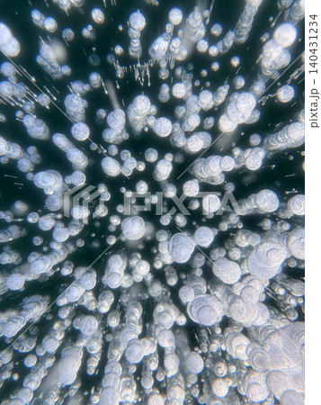 Ice bubbles create a stunning pattern on frozen Lake Baikal. Ice bubbles create a stunning pattern on frozen Lake Baikal. 140431234
