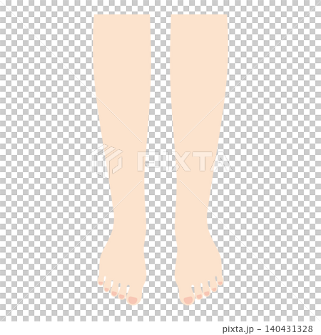 きれいな脚のイラスト きれいな脚のイラスト 140431328